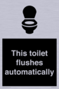 this-toilet-flushes-automatically~